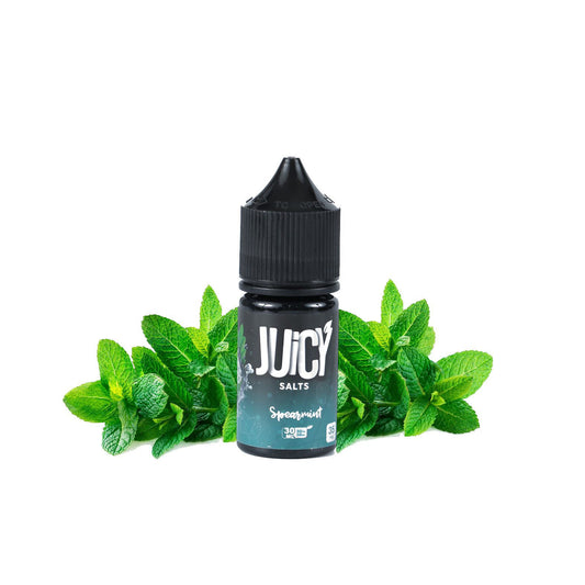 JUICY SPEARMINT - SALTNIC