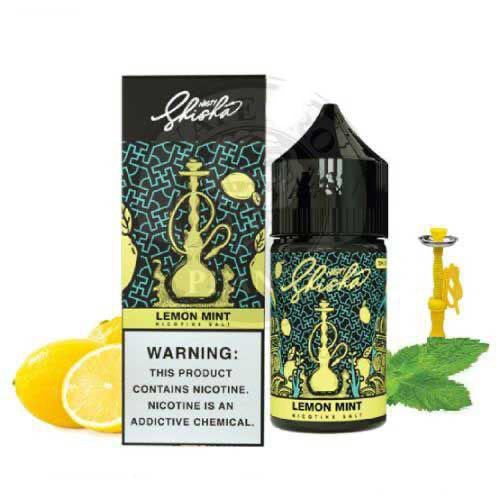 NASTY LEMON MINT SALTNIC