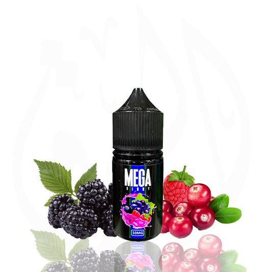 MEGA BERRY - SALTNIC