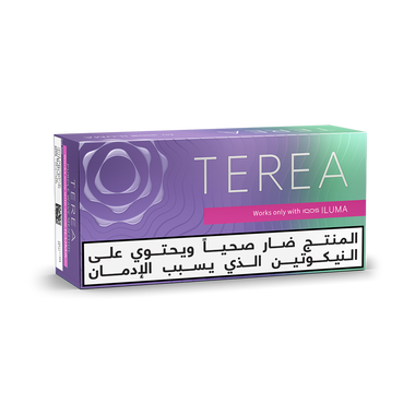 TEREA PURPLE WAVE Menthol (10 packs)